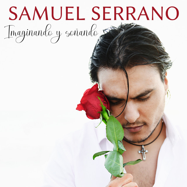 Imaginando y Soñando cover art