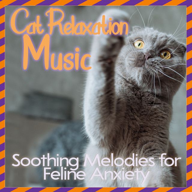 Cat Relaxation Music: Soothing Melodies for Feline Anxiety - Album by ...