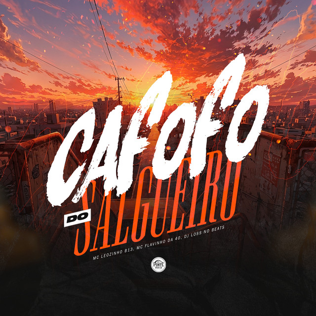 Cafofo do Salgueiro