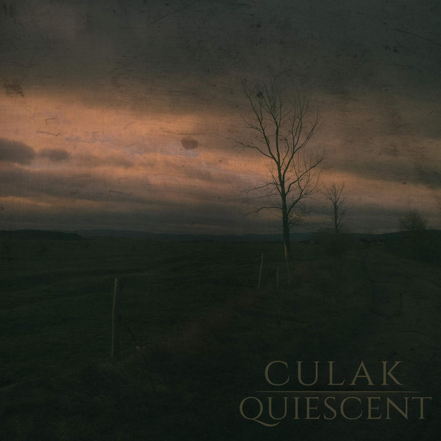 Quiescent cover art