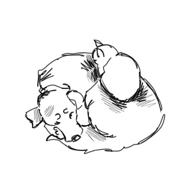care
