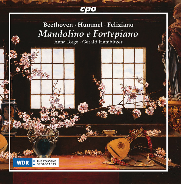 Mandolino e fortepiano cover