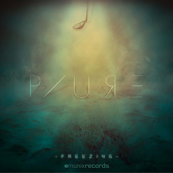 Freezing cover