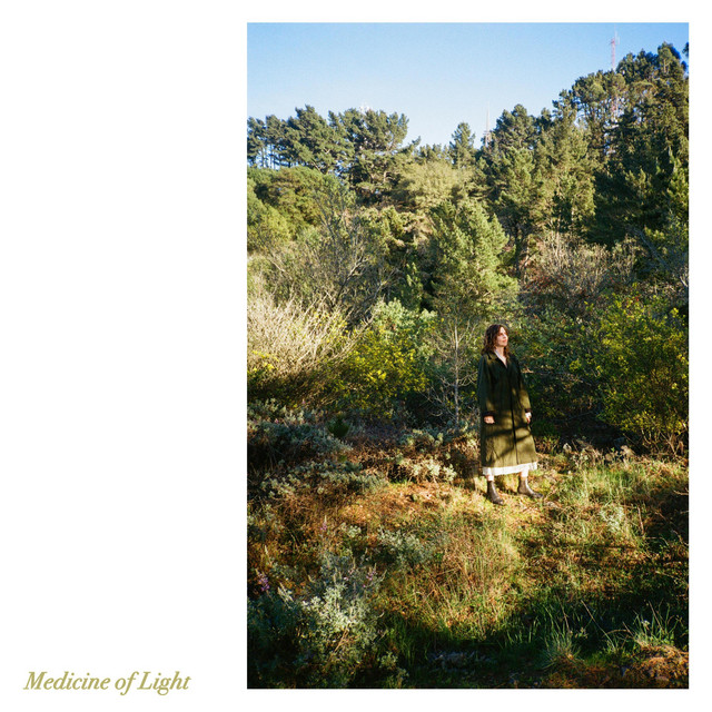 Jenny Gillespie Mason - Medicine of Light
