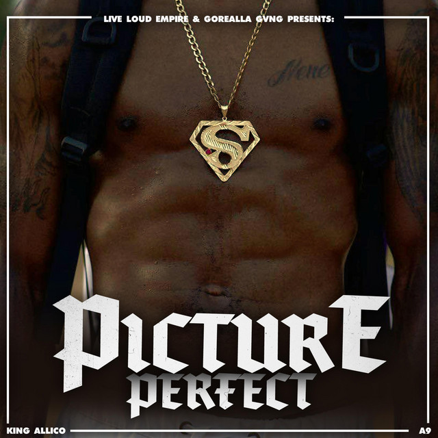 Picture Perfect cover