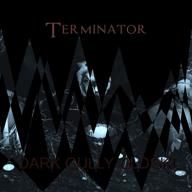 Dark Gully Oldskl cover art