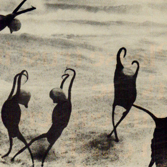 Placid Creatures cover art