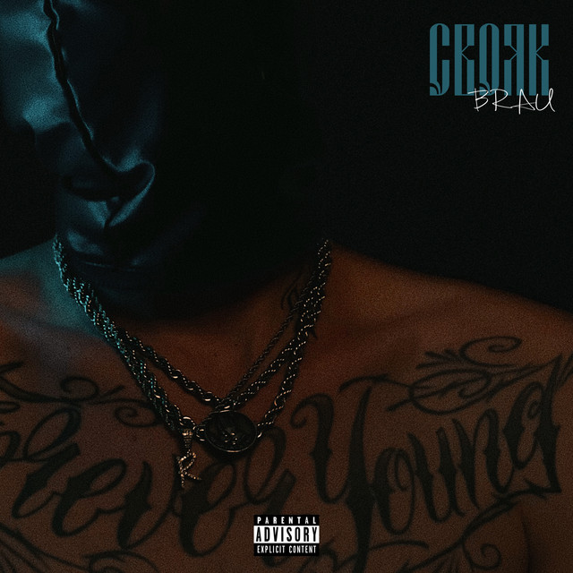 СВОЯК cover art