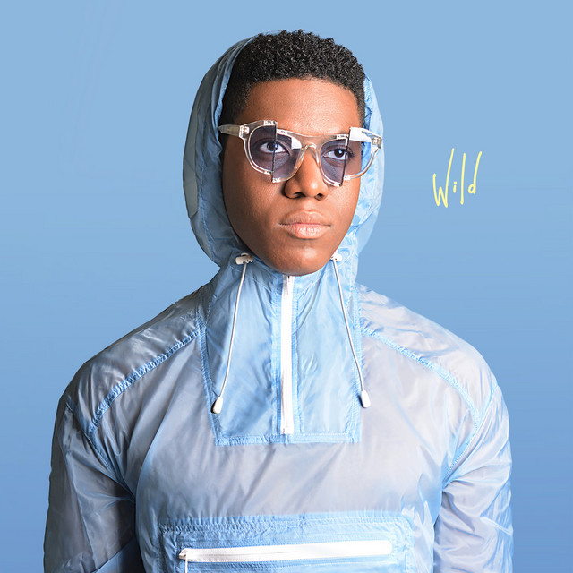 Wild cover art