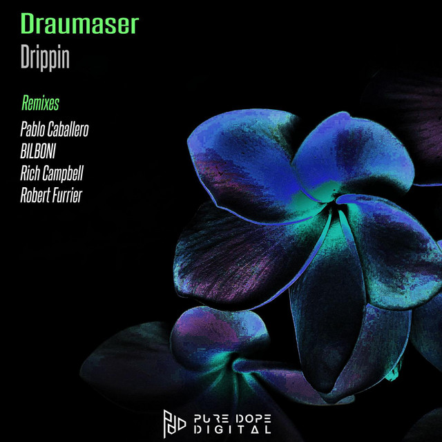 Drippin - Robert Furrier Remix cover art