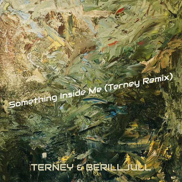 Обкладинка треку Something Inside Me (Terney Remix)