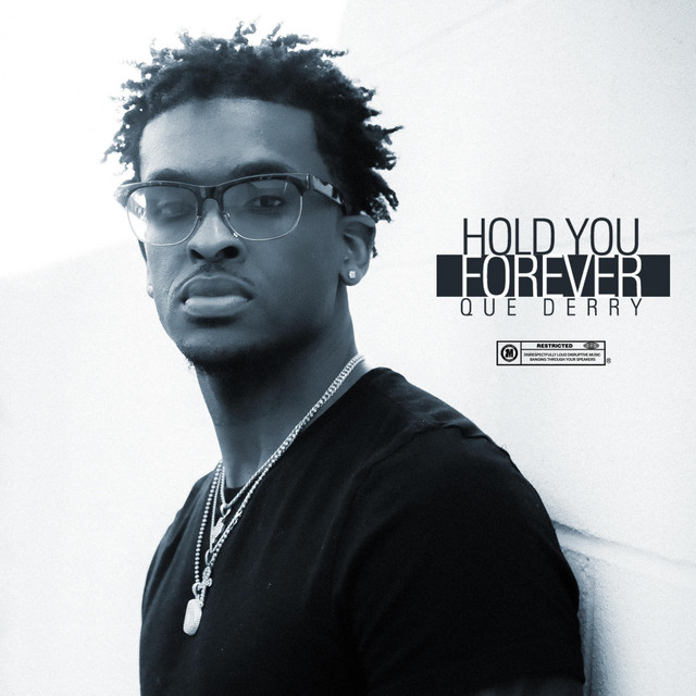 Hold You Forever cover art