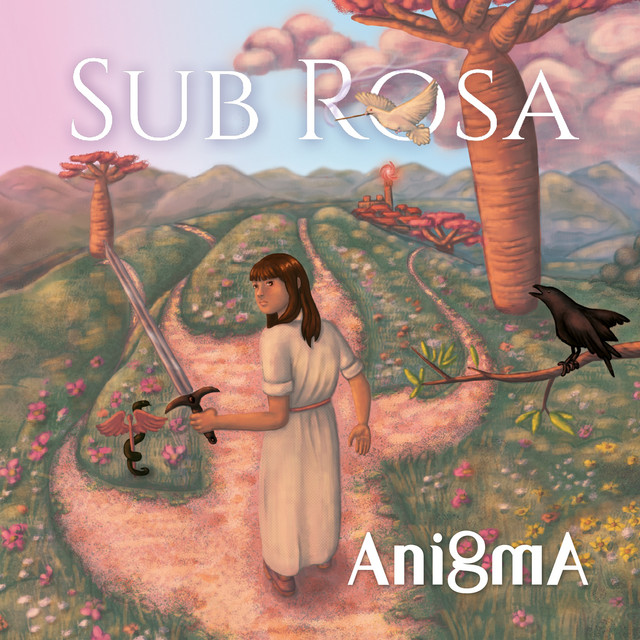 Anigma cover art