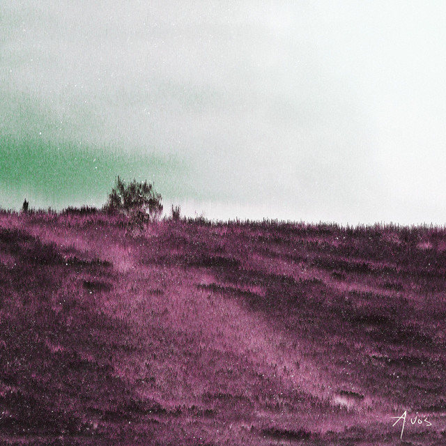Water Brings the Rapids cover art
