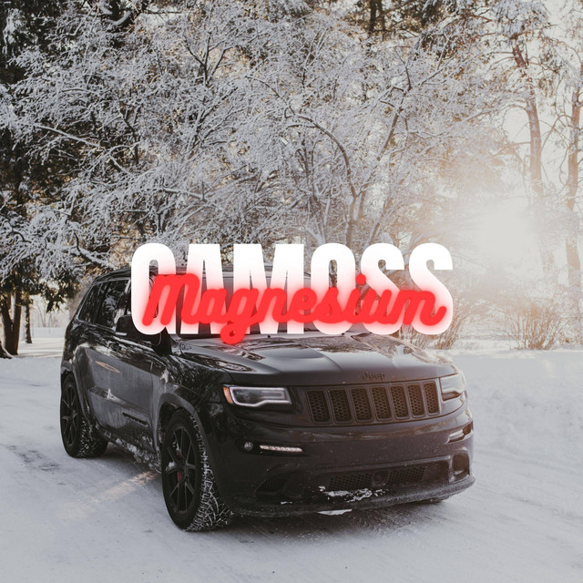 Magnesium cover art