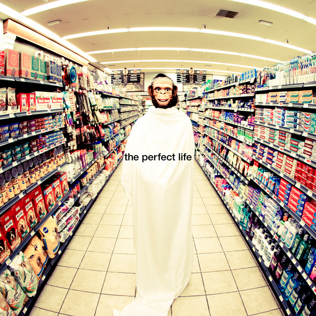 The Perfect Life — Moby