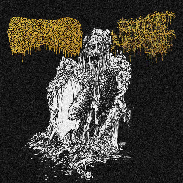 Split with Sentient Rot cover art