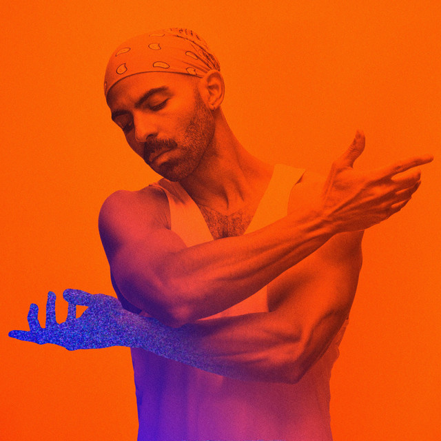 NOT THE FUTURE cover art