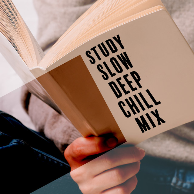 Study Slow Deep Chill Mix - Music for a Time of Intensive and Increased Mental Effort, Easy Learning and Reading cover art