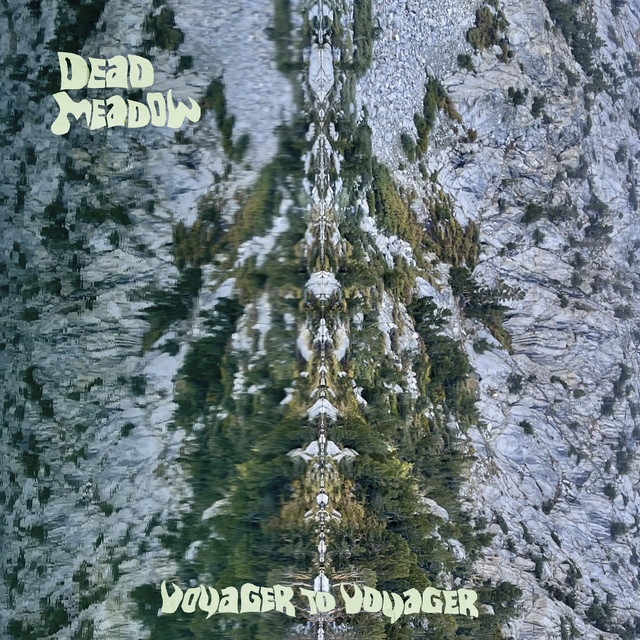Voyager To Voyager cover