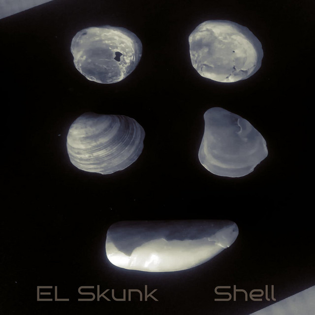Shell - Single by EL Skunk | Spotify