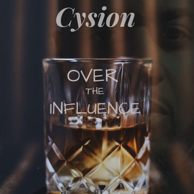 Over the Influence cover art