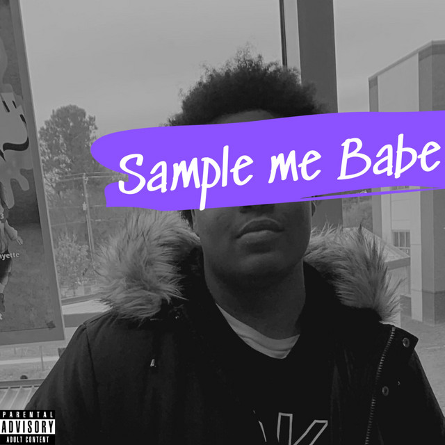 Sample Me Babe. cover art