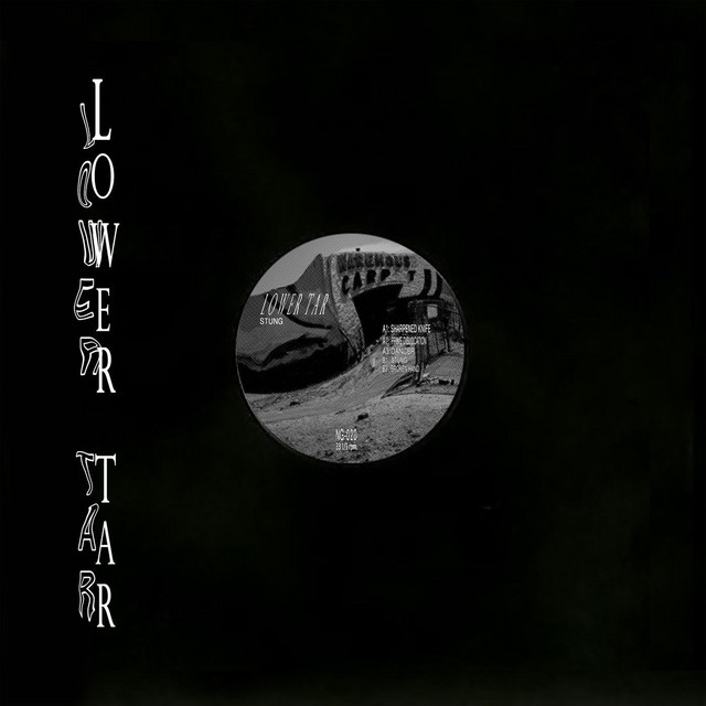 Stung cover art