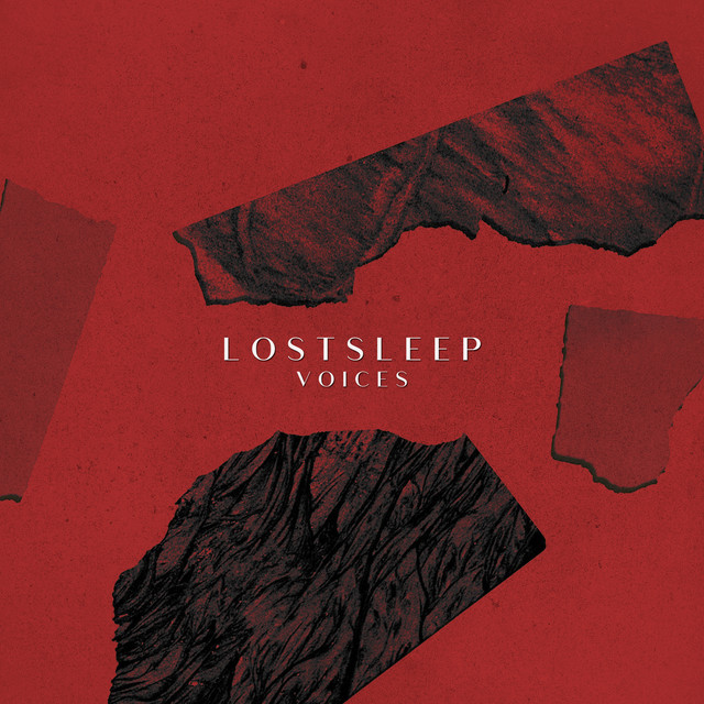 Обкладинка: Voices — LOSTSLEEP