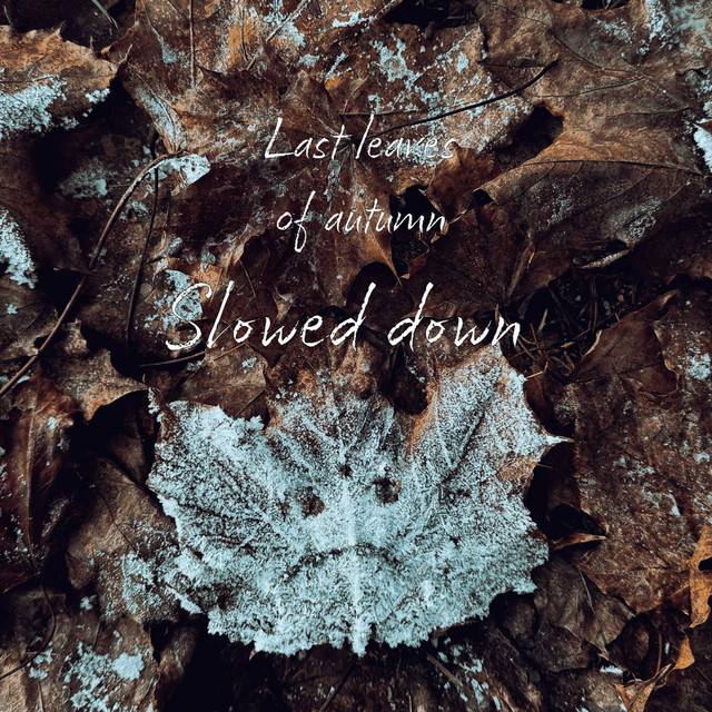 Last Leaves of Autumn (Slowed Down) cover art