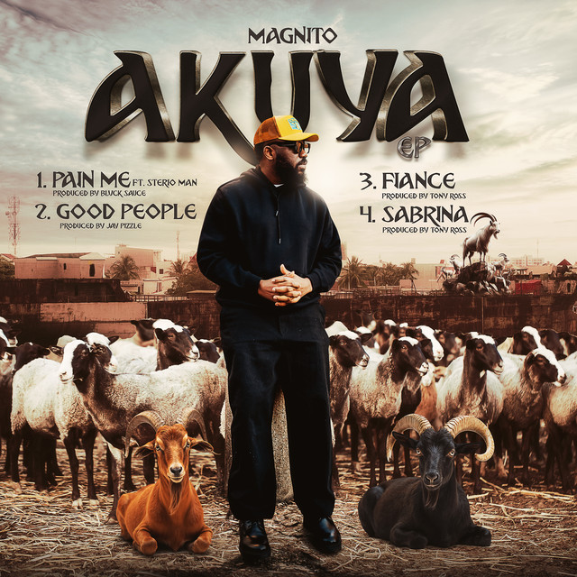 undefined album image
