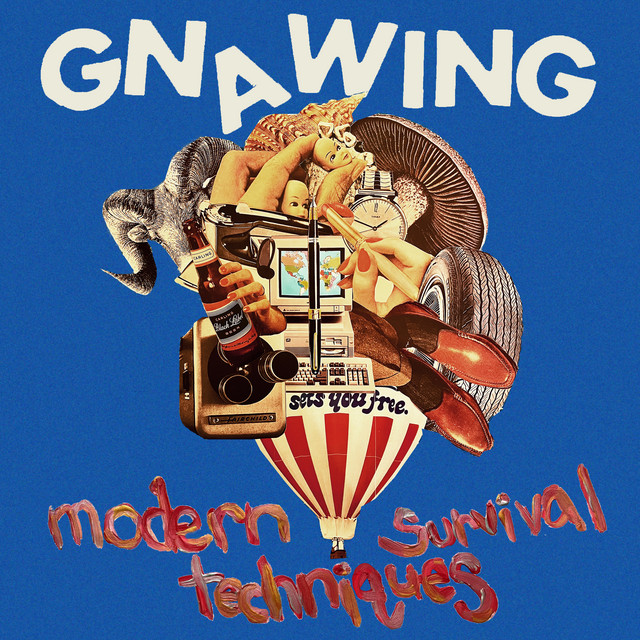Modern Survival Techniques cover
