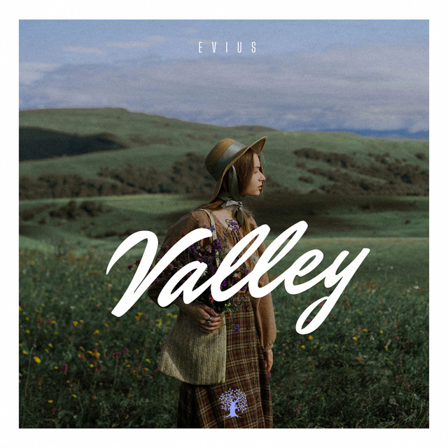 Valley cover art