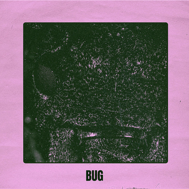 Bug - Single by There Could Be Dinosaurs | Spotify