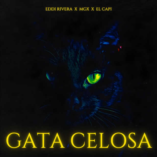 Gata Celosa