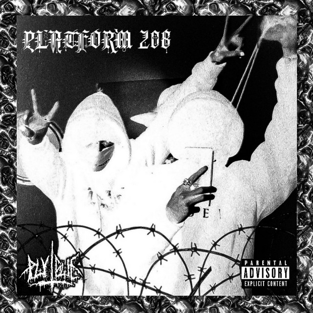 Platform208 cover art
