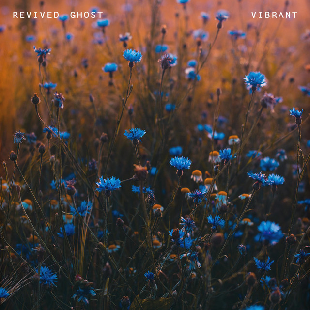 Vibrant cover art