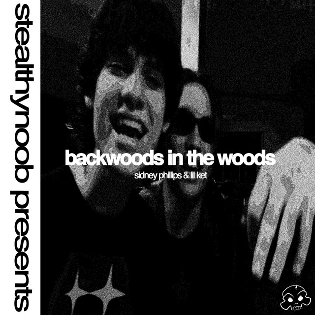 Backwoods In The Woods cover art