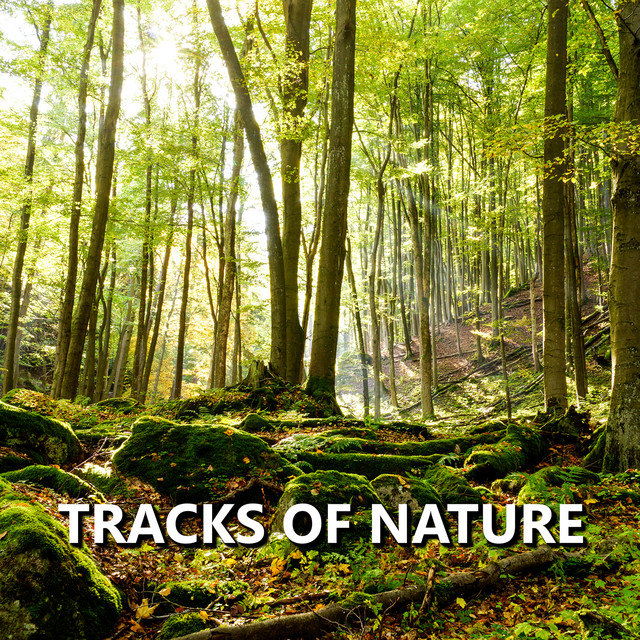 Tracks of Nature cover art