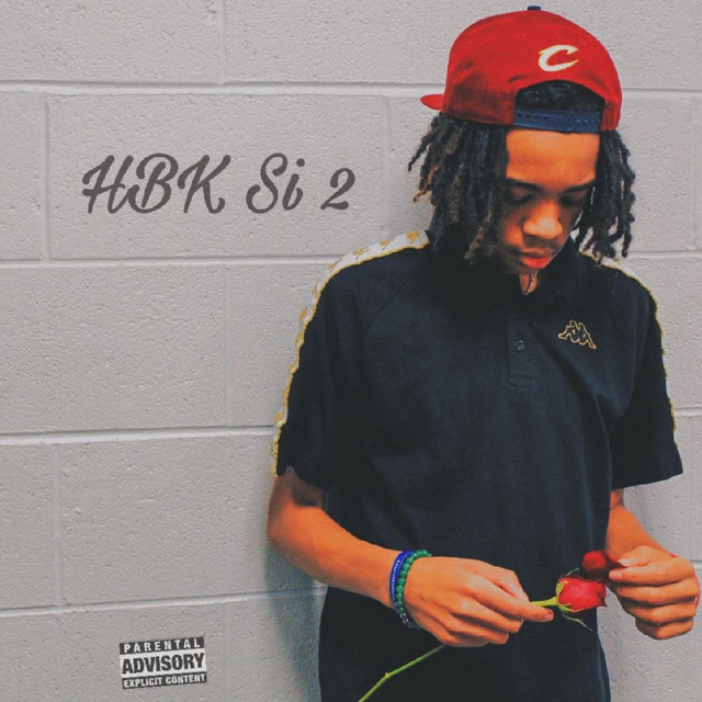 HBK Si 2 cover