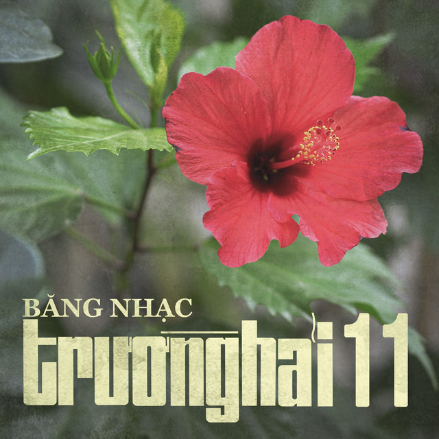 Trường Hải 11 cover art