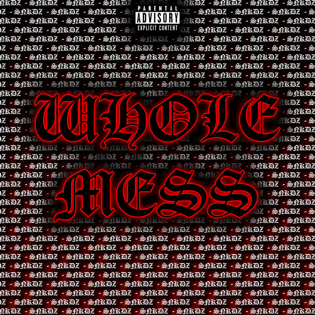 Обкладинка: Whole Mess — SNKDZ