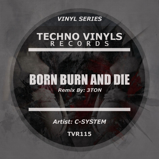 Born Burn & Die - 3ToN Remix cover art