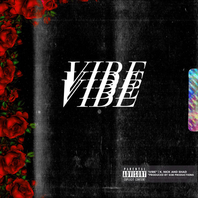 Vibe cover