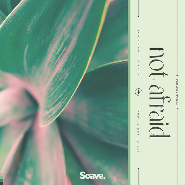 Not Afraid cover