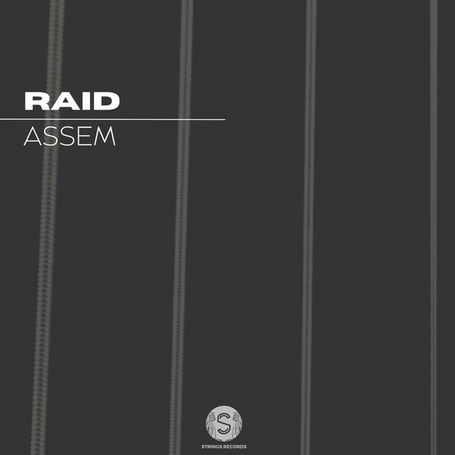 Raid cover art