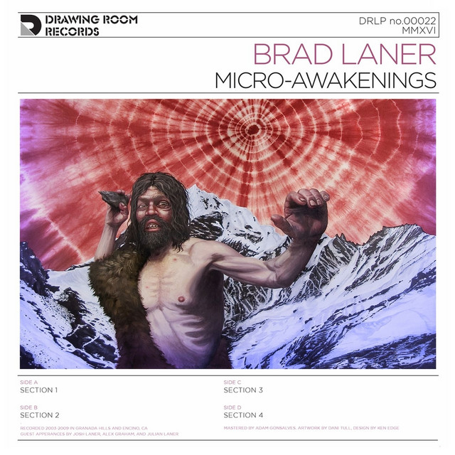 Micro-Awakenings cover