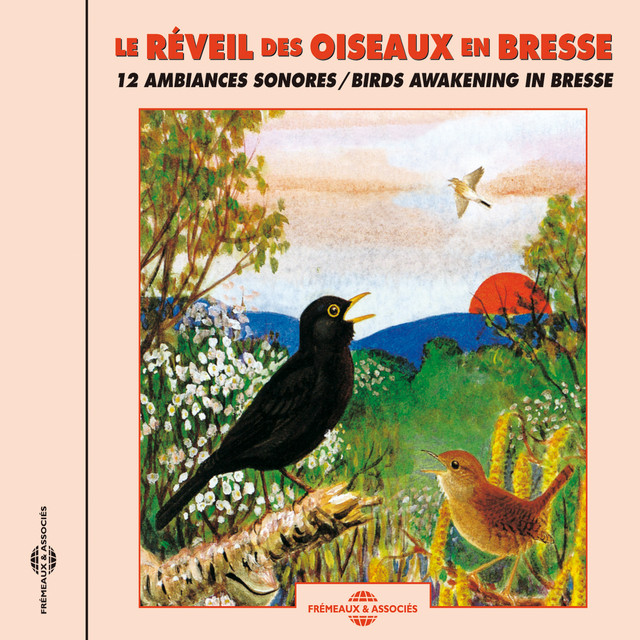 Birds Awakening In Bresse