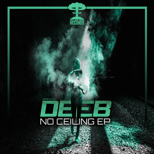 No Ceiling cover art