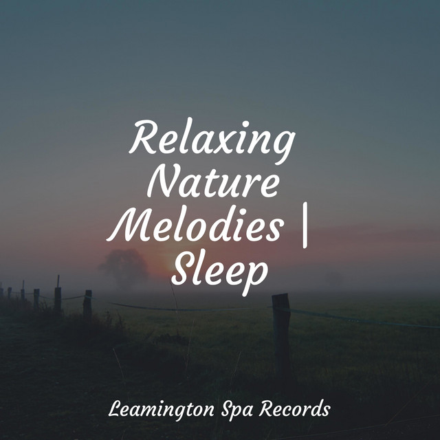 Relaxing Nature Melodies | Sleep - Album by Nature & Sounds Background ...